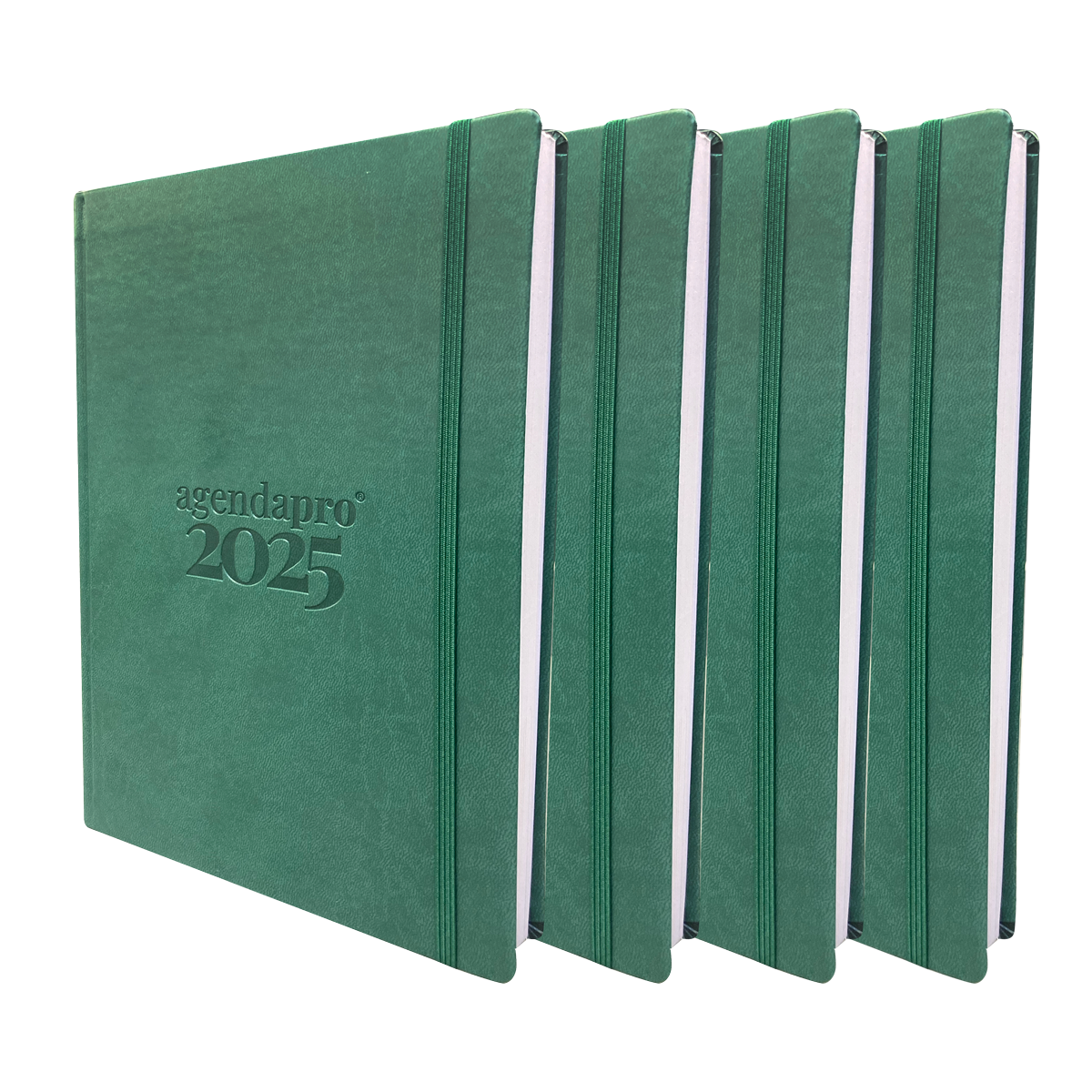 AgendaPro 2025 BUNDLE